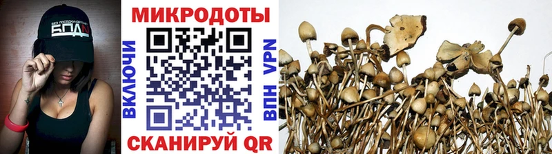 Галлюциногенные грибы Cubensis даркнет сайт Пятигорск